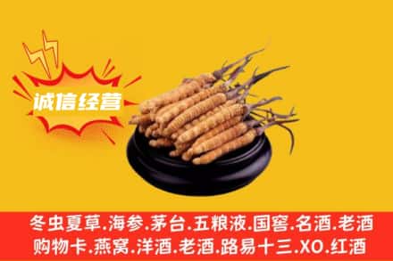锡林郭勒回收冬虫夏草